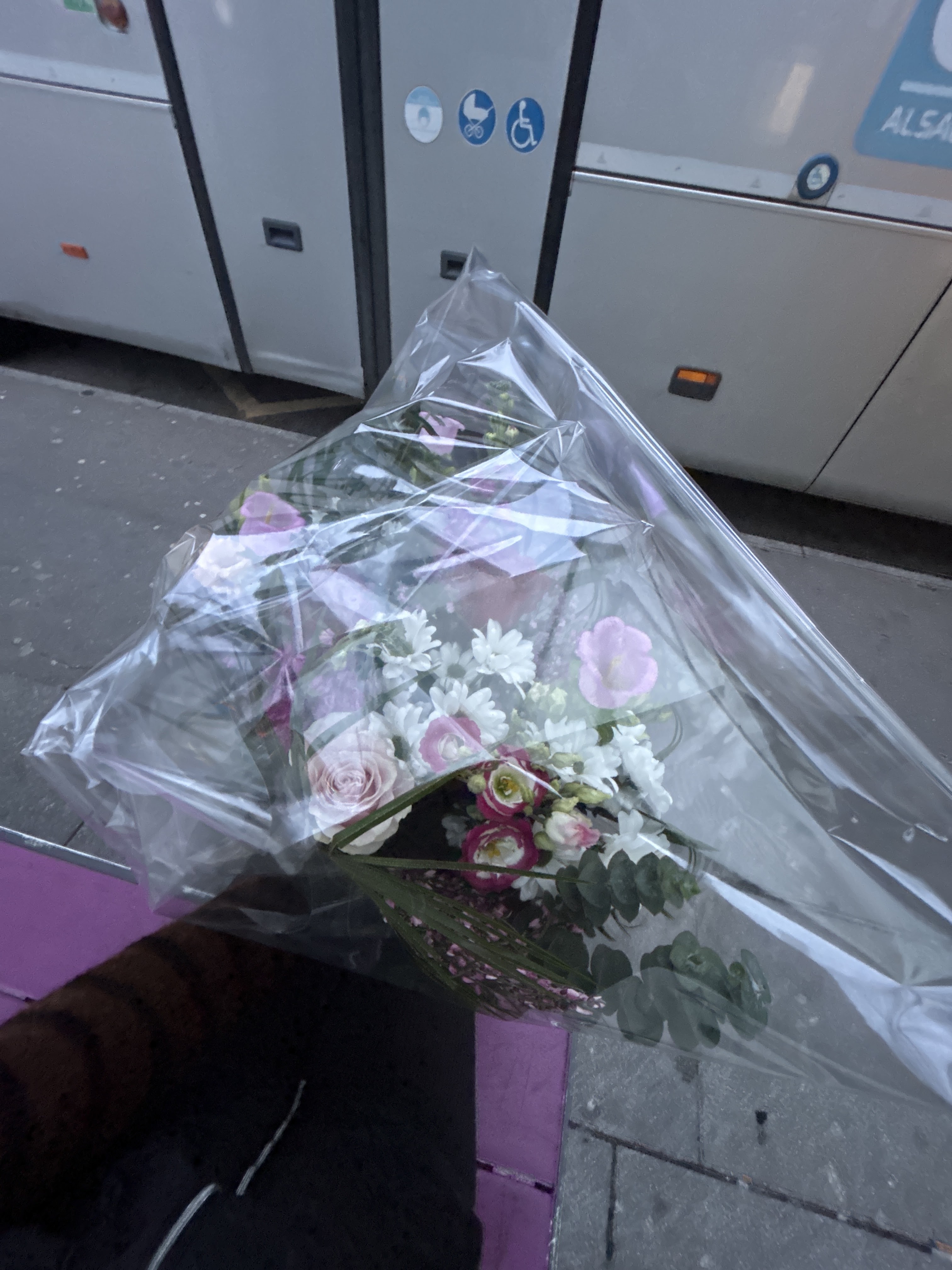 Photo n° 1 de l'avis de Elisa.A fait le 21/02/2024 à 16:53