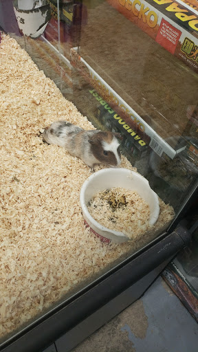 Animal Feed Store «Franklin Hardware & Pet Center», reviews and photos, 1975 Philadelphia Ave, Chambersburg, PA 17201, USA