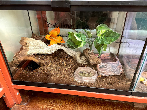 Pet Store «Animal Ark», reviews and photos, 175 S 500 E St, American Fork, UT 84003, USA