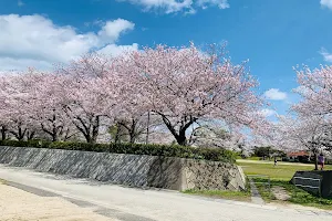 Sakaidaiba Park image