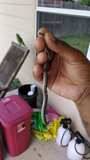 Pet Supply Store «Petco Animal Supplies», reviews and photos, 2722 N Josey Ln #107, Carrollton, TX 75007, USA