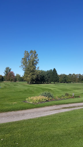 Golf Club «Leaning Tree Golf Club», reviews and photos, 7860 Smiths Creek Rd, Township of Wales, MI 48027, USA