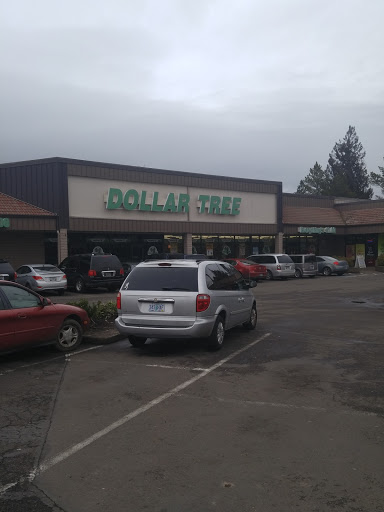 Dollar Store «Dollar Tree», reviews and photos, 1460 NE Baker St, McMinnville, OR 97128, USA