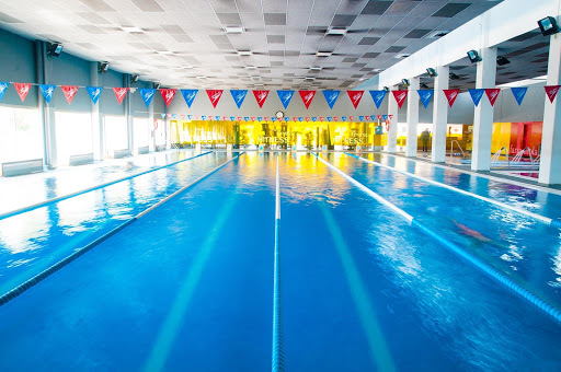 Centro Deportivo Picaña, Piscina Cubierta en Picanya, Valencia