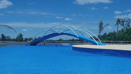 Termas de Punta Viracho