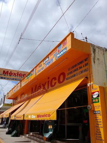 Ferrenovedaes de México