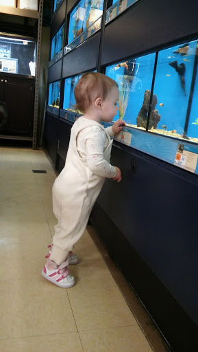 Pet Supply Store «Petco Animal Supplies», reviews and photos, 1391 NJ-35, Middletown, NJ 07748, USA