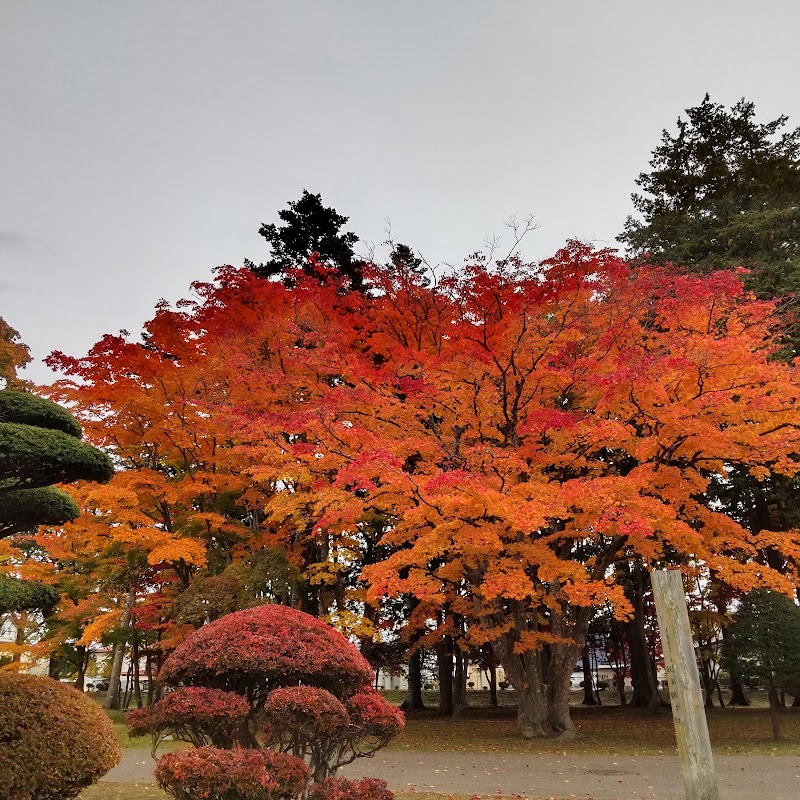 北海道 函館市 香雪園~春の桜と秋の紅葉の名所