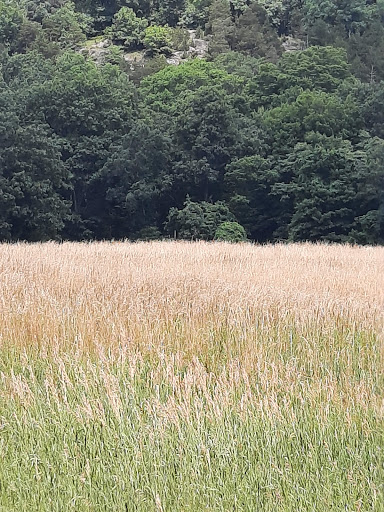 State Park «West Rock Ridge State Park», reviews and photos, 1134 Wintergreen Ave, New Haven, CT 06514, USA