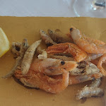 Photo n°5 de l'avis de Heinz.I fait le 27/08/2023 à 11:22 sur le  Fiume Stella à Precenicco