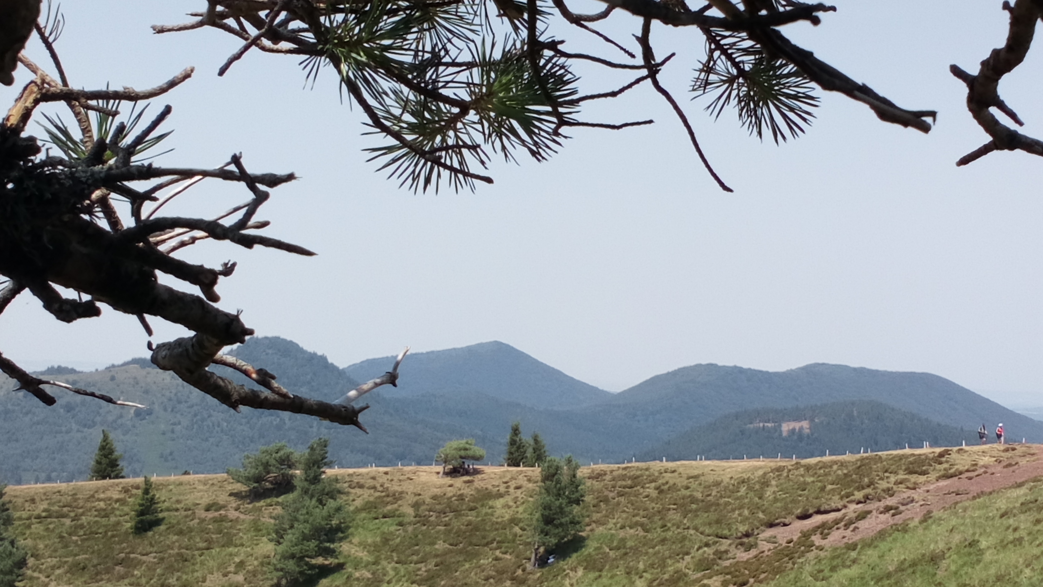 Photo n° 1 de l'avis de Carine.a fait le 23/07/2019 à 20:16