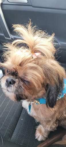 Pet Supply Store «Petsense Rome», reviews and photos, 2511 Redmond Cir, Rome, GA 30165, USA