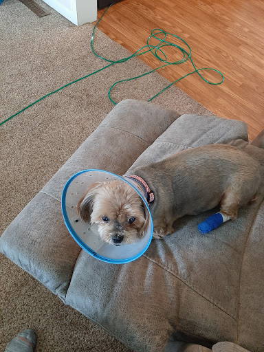 726 E Broad St, Chesaning, MI 48616, USA