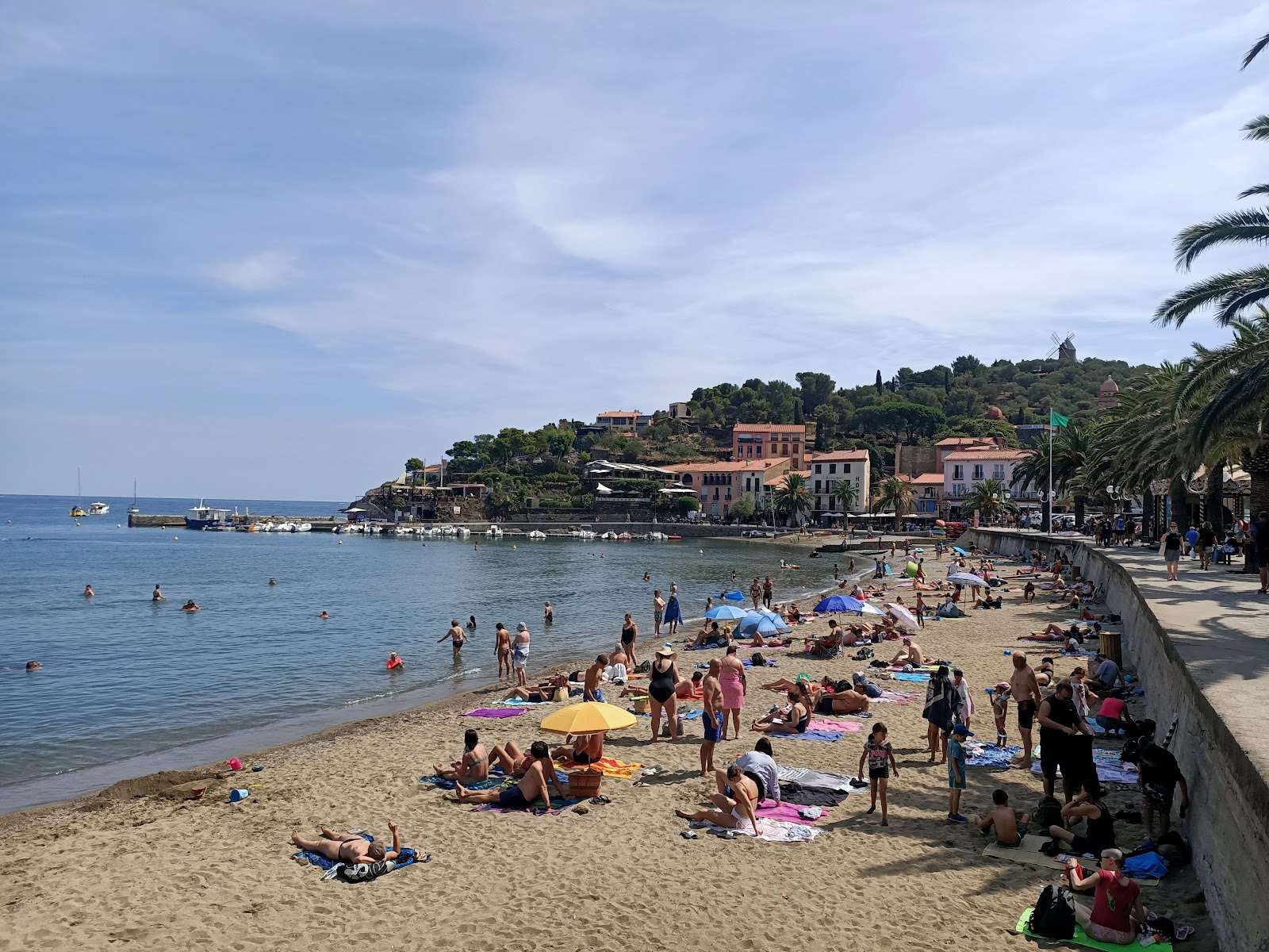 Collioure plage photo #9