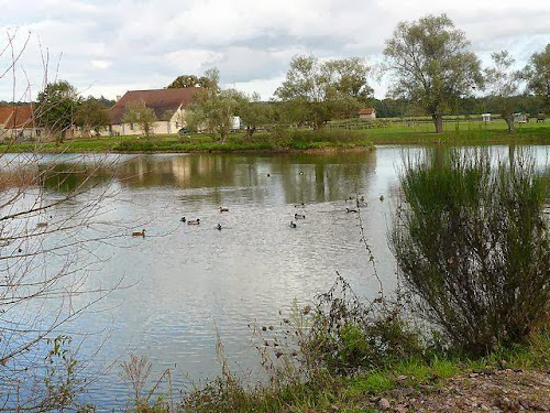 Centre de formation Ecuries des Bergers Lapalisse