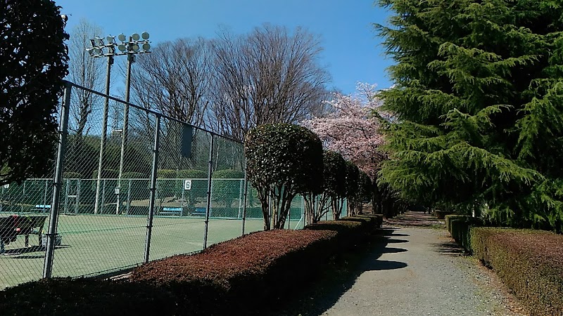 あけぼの公園 テニスコート