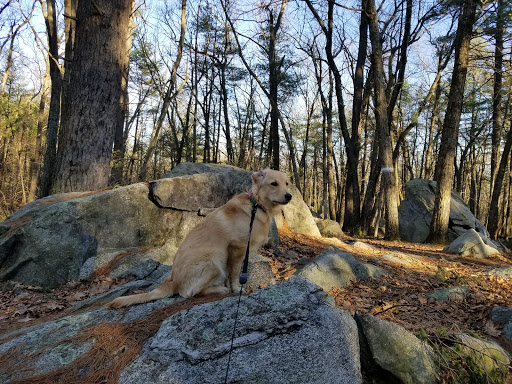 State Park «Lowell-Dracut-Tyngsborough State Forest», reviews and photos, Trotting Park Rd, Dracut, MA 01826, USA