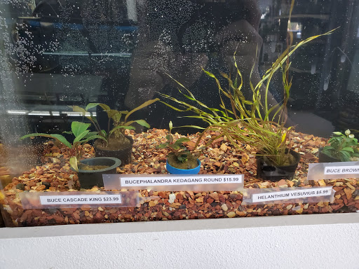 Pet Store «Pet Town», reviews and photos, 7804 Florence Ave, Downey, CA 90240, USA