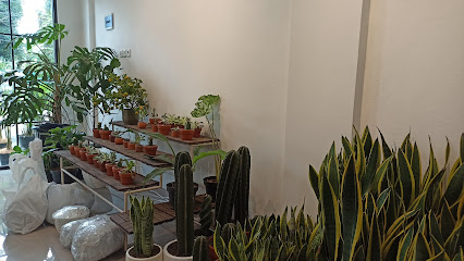 Shop with Sky - Plant & Garden Shop
