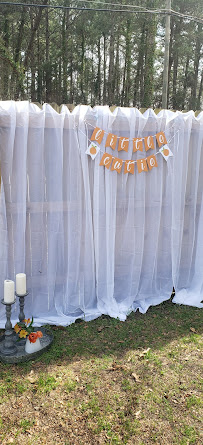 Elivea Rae Event Design and Decor - Photo 5 - Car repair in Williamsburg, VA, Newport News