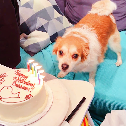 Cake Shop «Lark Cake Shop Pasadena», reviews and photos, 1355 N Hill Ave, Pasadena, CA 91104, USA