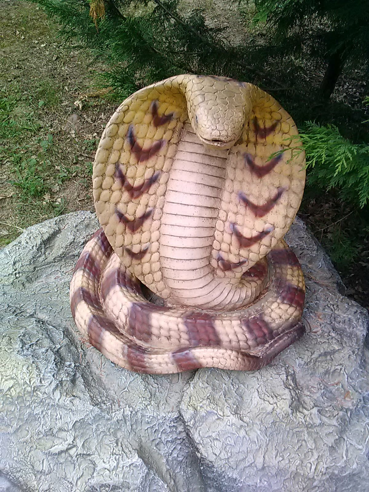 Photo n° 22 de l'avis de olivier.e fait le 15/07/2020 à 10:28