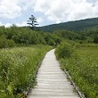 Cranberry Glades Botanical Area