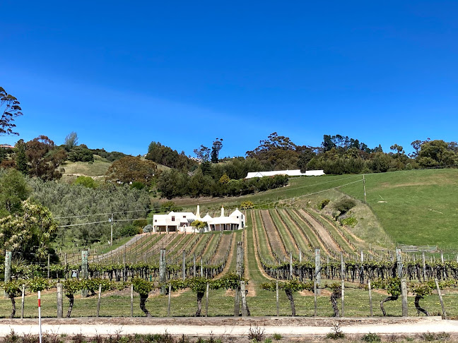Te Mata Estate Winery - Havelock North