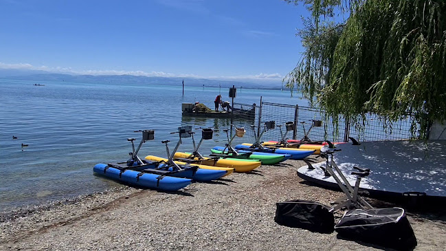 Rezensionen über Waterbike-Bodensee - Standorte in: IMMENSTAAD + BODMAN in Kreuzlingen - Sportstätte