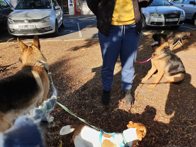 St Francis Veterinary Hospital - Cape Town