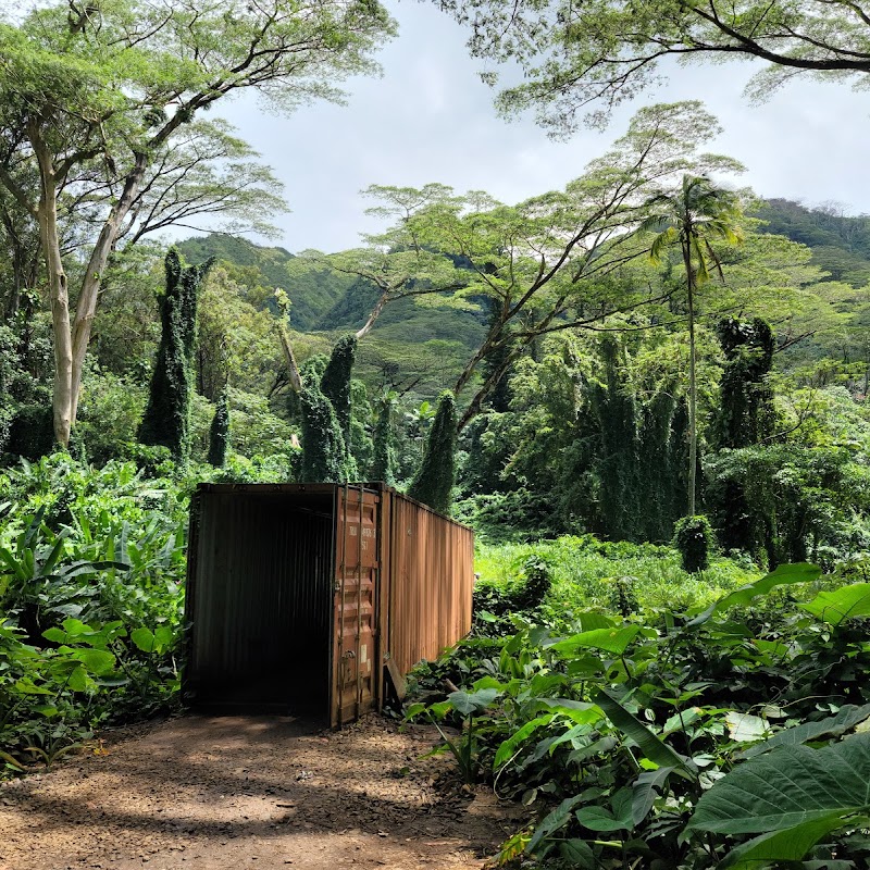 Mānoa Falls Trail