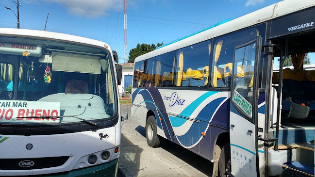 Terminal De Buses Lago Ranco - Servicio de transporte