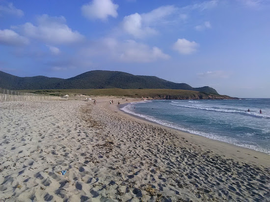 Capo Di Feno