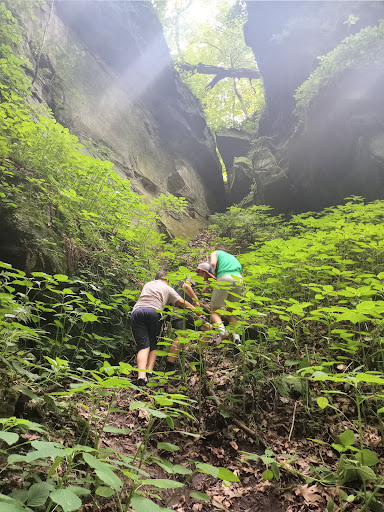 Nature Preserve «Fern Cliff Nature Preserve», reviews and photos, W County Rd 375 S, Greencastle, IN 46135, USA