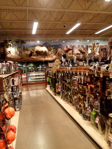 Sporting Goods Store «Bass Pro Shops», reviews and photos, 1133 N Dobson Rd, Mesa, AZ 85201, USA