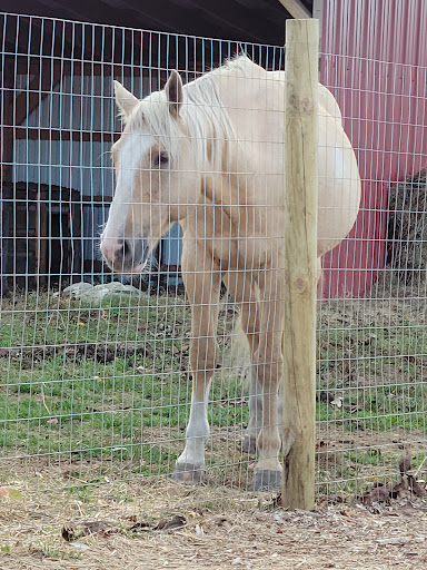 Farm «Houlden Farms», reviews and photos, 139 Old Westboro Rd, North Grafton, MA 01536, USA