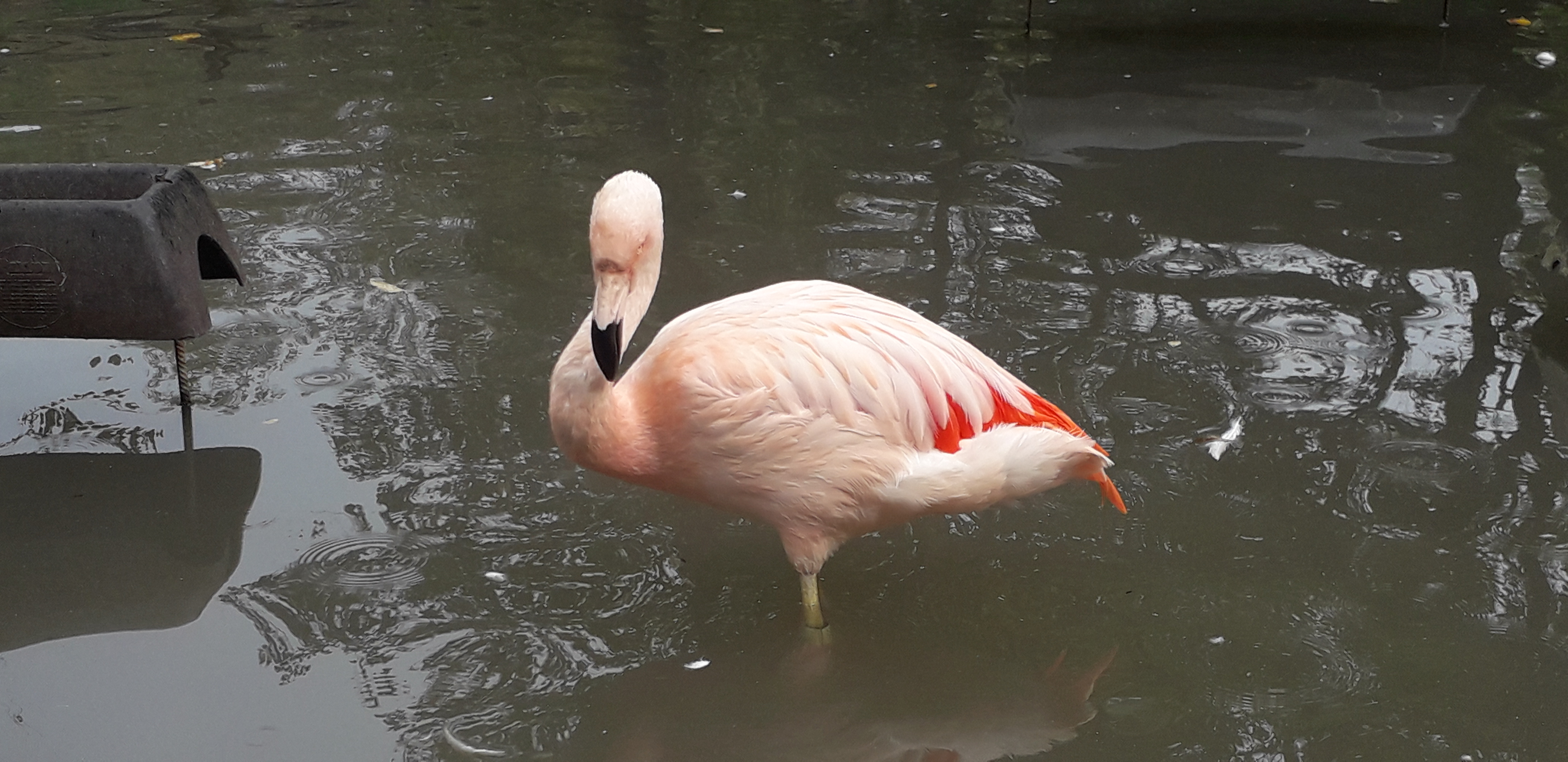 Photo n° 13 de l'avis de lilou.i fait le 19/09/2020 à 16:48