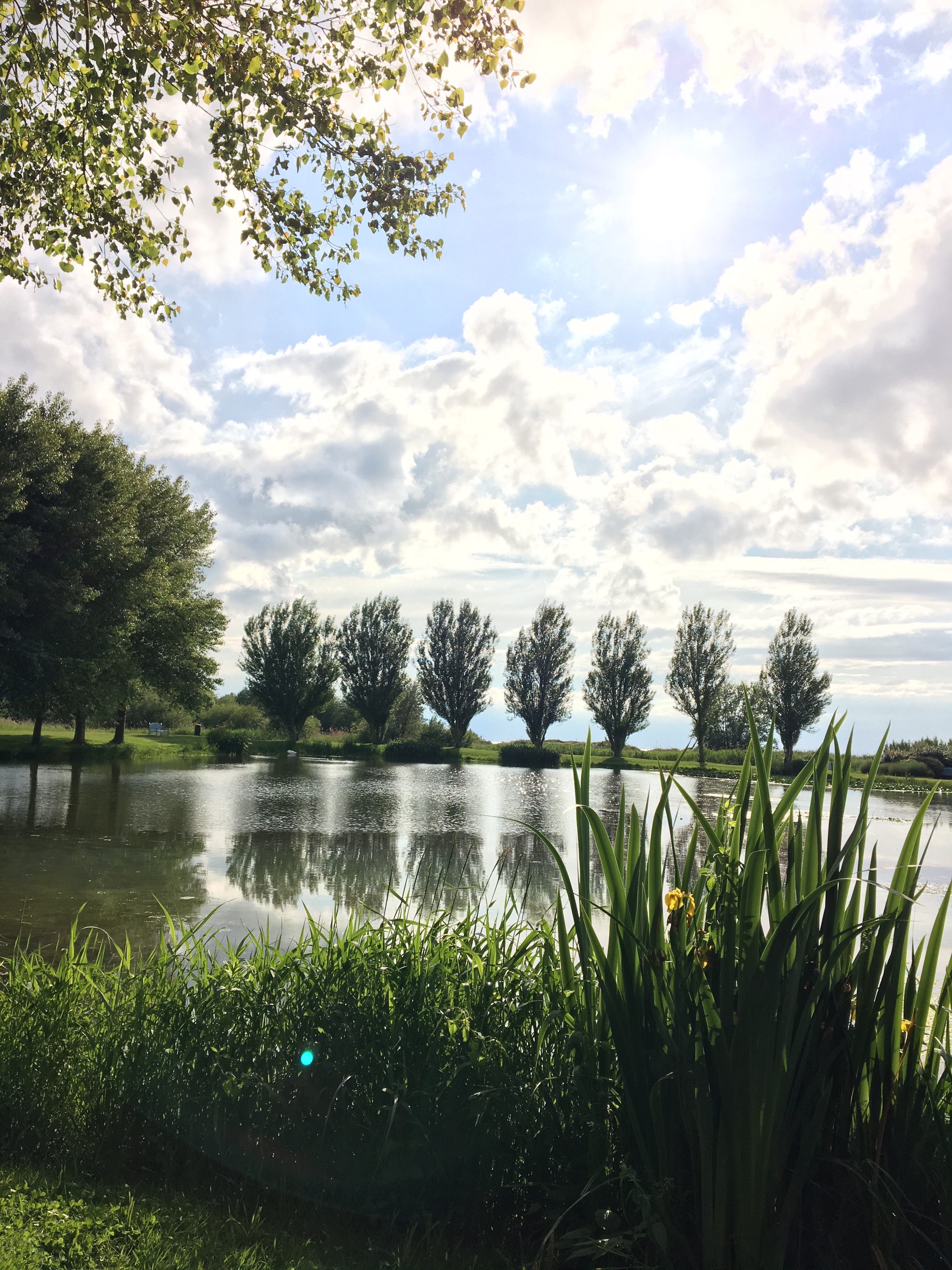Photo n° 3 de l'avis de JB. fait le 07/06/2019 à 15:21