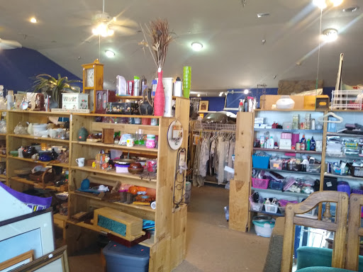Thrift Store «Someplace Safe Alexandria Thrift Store», reviews and photos