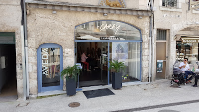 CARPY Coiffeur Coloriste à Blois