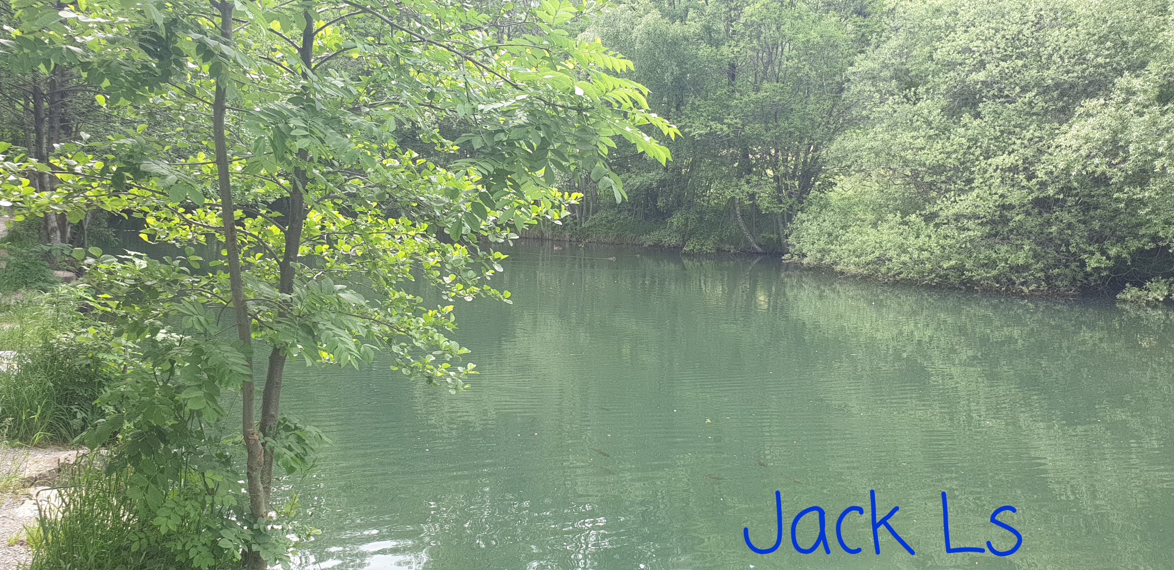Photo n° 20 de l'avis de Jack.s fait le 09/06/2023 à 15:22