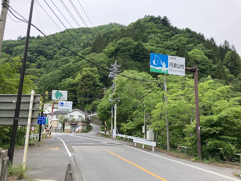 鴨澤橋留浦,(奥多摩湖)