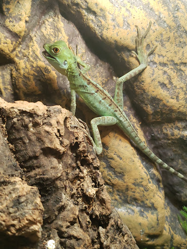 Pet Supply Store «Pets A Plenty», reviews and photos, 3925 NY-281, Cortland, NY 13045, USA