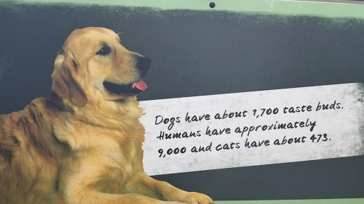 Pet Supply Store «Pet Supplies Plus», reviews and photos, 1012 W Hebron Pkwy #120, Carrollton, TX 75010, USA