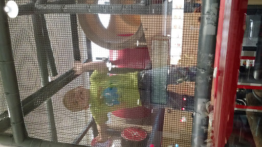 Fast Food Restaurant «Chick-fil-A», reviews and photos, 1185 Woodstock Rd, Roswell, GA 30075, USA