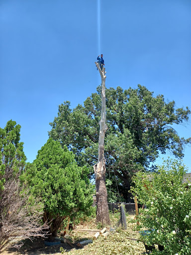 Home Improvement Store «The Home Depot», reviews and photos, 373 E Fm 1382, Cedar Hill, TX 75104, USA