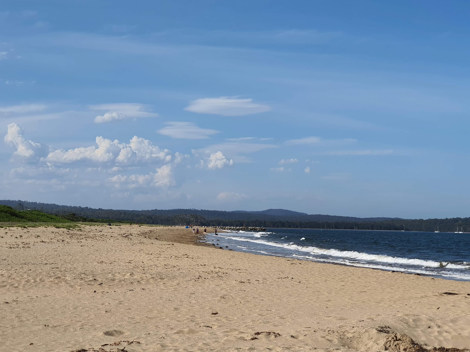 Foto di Corrigans Beach con costa lunga e dritta