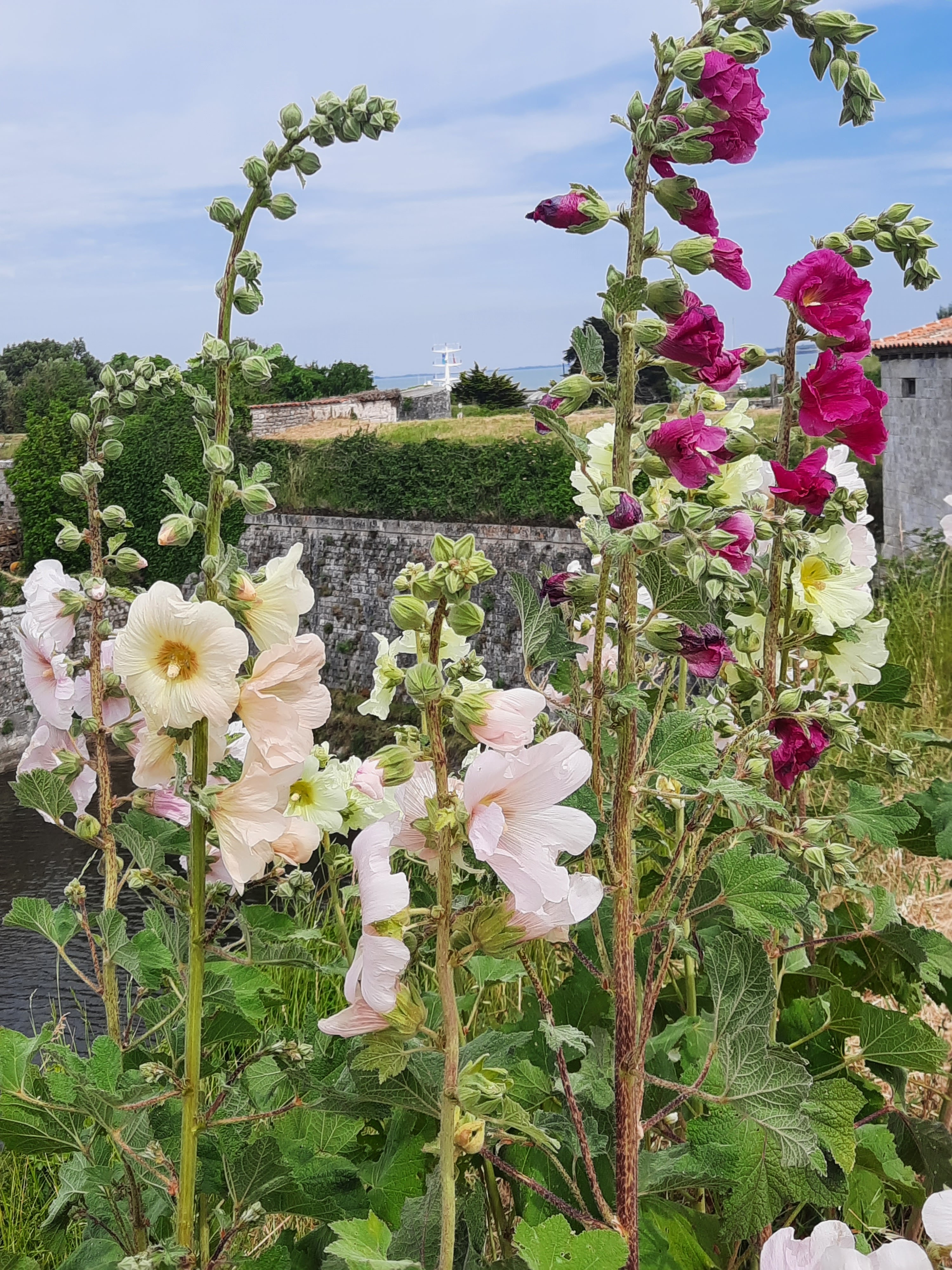 Photo n° 2 de l'avis de cecilia.i fait le 04/07/2023 à 20:14