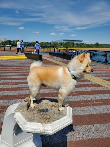 Monument «Fountain of the Dolphins», reviews and photos, 378 Sand Ln, Staten Island, NY 10305, USA