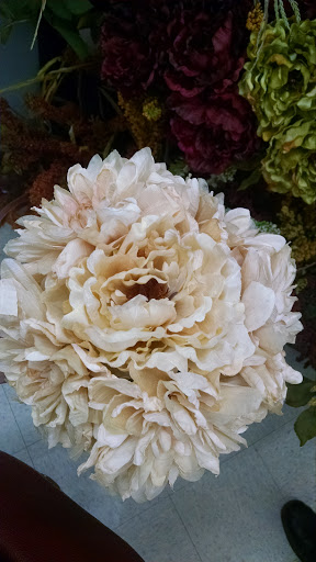 Craft Store «Michaels», reviews and photos, 9386 WI-16, Onalaska, WI 54650, USA